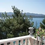 Nova Neum