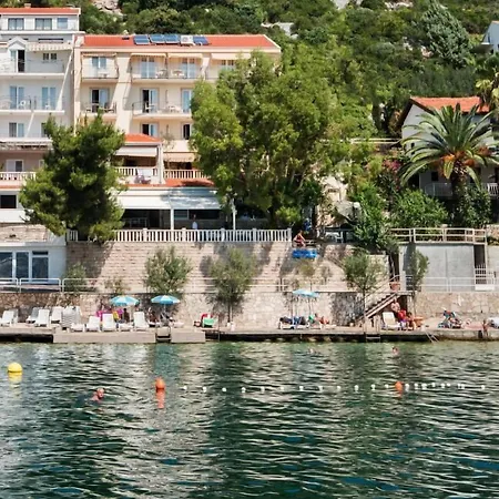 Nova Neum